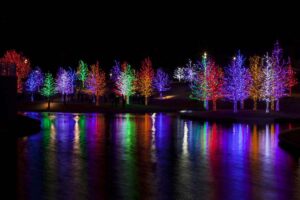 Outside Christmas lights
